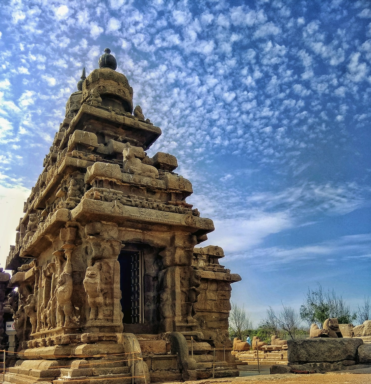 Exploring the World of Tamil Chat Communities